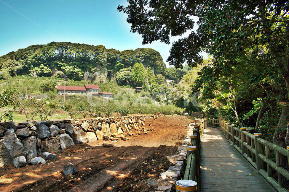 제주,서귀포,올레71코스,올레길,중산간,엉또폭포입구,목책,자연,풍경,nature,landscape