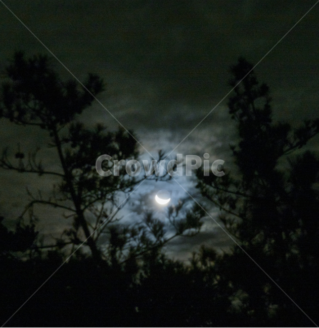 밤하늘,달,달빛,풍경,밤풍경,감성,감성사진,자연,풍경,nature,landscape,야경,밤,nightscape,night,outdoors,옥외