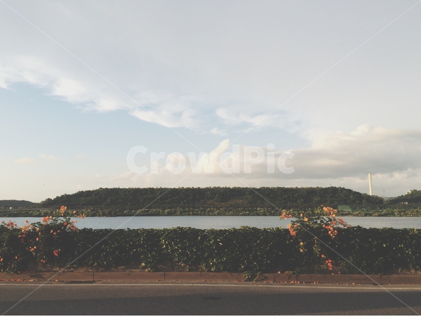nature,자연,land,outdoors,옥외,난지공원,동백,길,여정,봄,한강,road