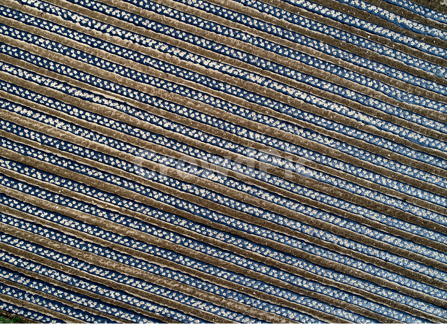 봄,농사,밭,밭고랑,드론사진,농촌,봄,계절,spring,season,산업,industry,industrial,농업,농사,agriculture,farming,farming industry,텍스처,질감,패턴,texture,pattern,조직