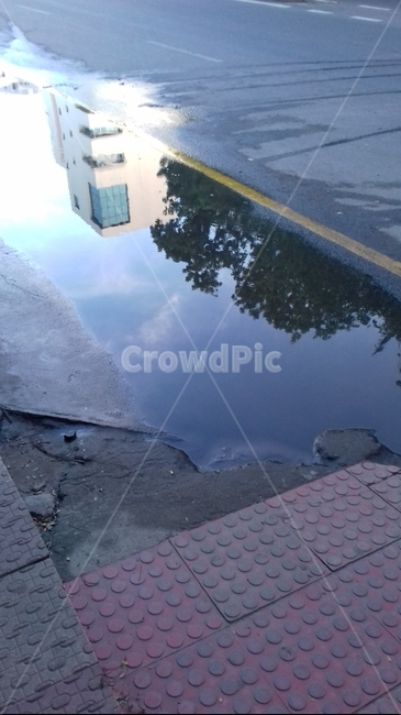 puddle,reflection,반사,물,water