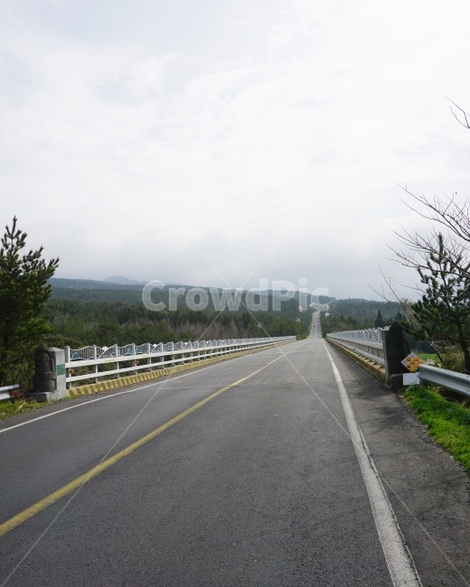 제주도,평화로,직선도로,도로,드라이브,road,jeju,드라이브코스,길,관광지,자연,풍경,nature,landscape,교통,교통수단,traffic,transportation,freeway,고속 도로,highway,고속도로