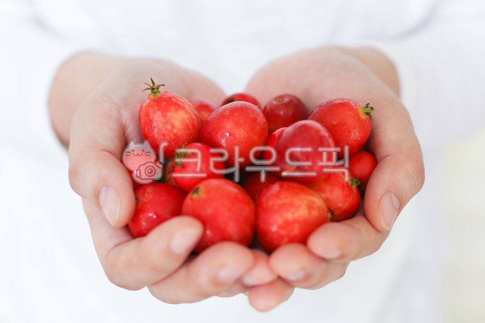 Han Areum,Put your hands together,fruit,red fruit,health,vitamin,health food,healthy food,wisp,flower apple,diet,organic,hand