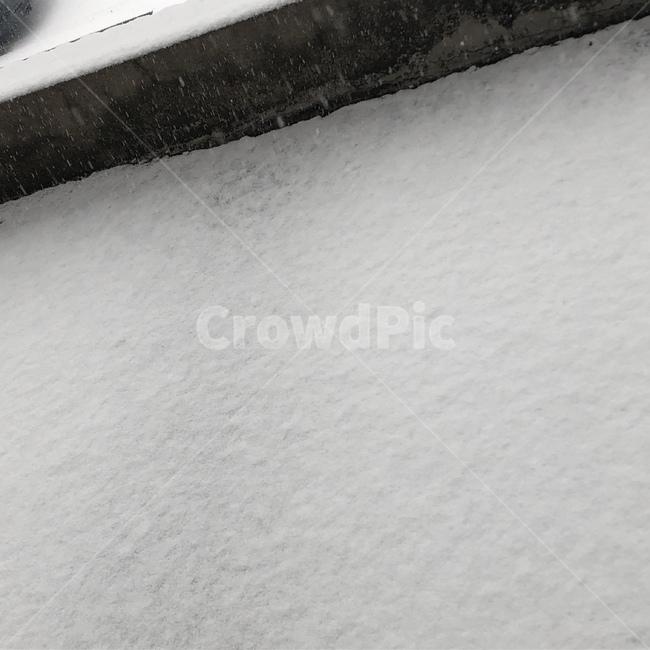 눈,겨울,풍경,자연,계절,겨울,계절,winter,season