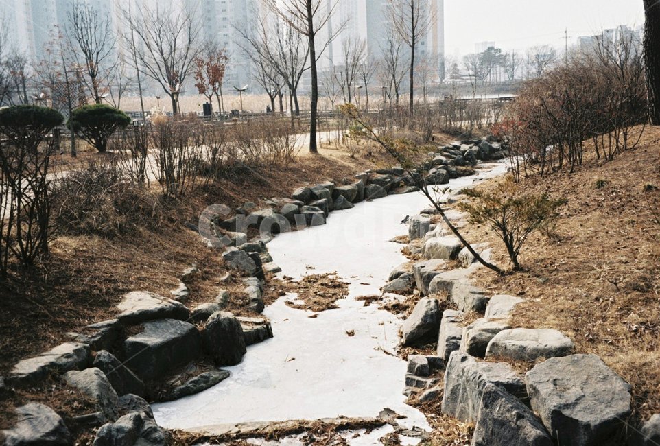 나무,돌,겨울,눈,자연,겨울,계절,winter,season,자연,풍경,nature,landscape,slate,슬레이트,rubble,파편
