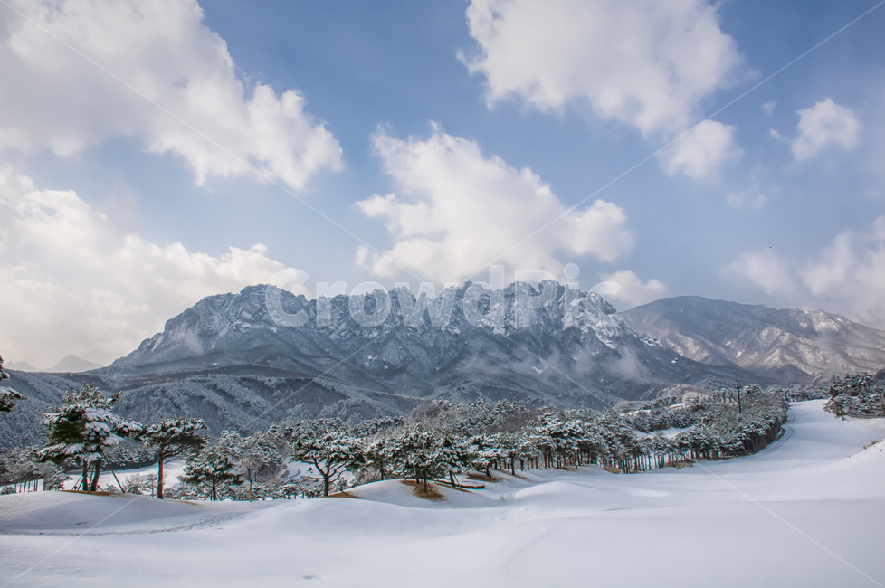 설악산,울산바위,골프장,델피노cc,설경,흰눈,겨울,계절,winter,season,자연,풍경,nature,landscape