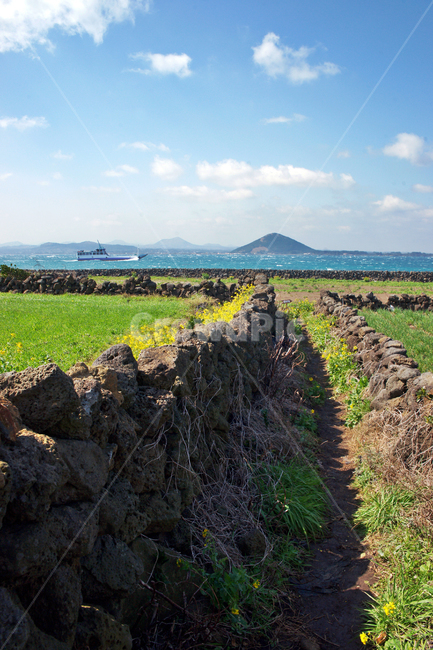 우도,제주,올레11코스,올레,자연,구름,밭,돌담,유채꽃,자연,풍경,nature,landscape,한국자연풍경,한국자연경관,korea nature landscape,제주도,jeju,jeju island,ground,바닥,soil,흙