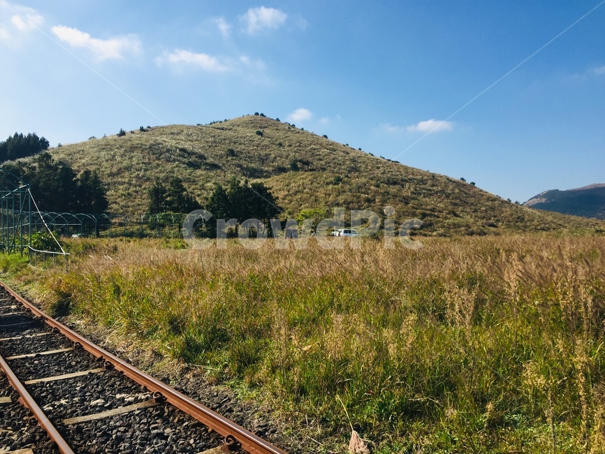 제주도,오름,레일바이크,풍경,산,자연,풍경,nature,landscape,railway,철도,train track,기찻길,rail,레일,transportation,교통