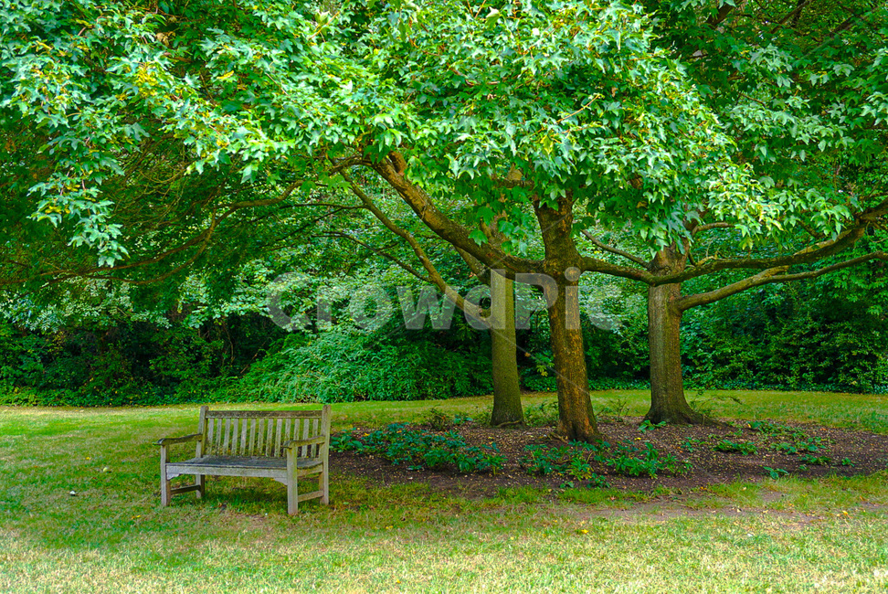 nature,bench,벤치,자연,healing,힐링,furniture,가구,garden,정원,자연,풍경,nature,landscape
