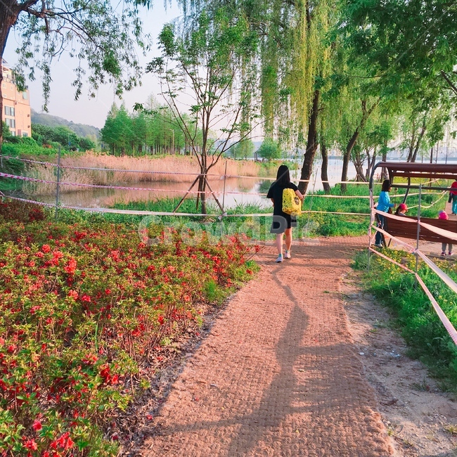 단대호수,호수,단대,풍경,감성,힐링,나무,구름,산,자연,풍경,nature,landscape