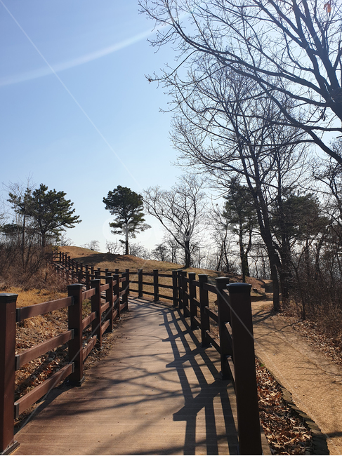 길,road,난간,나무,tree,정원,park,공원,언덕,handrail