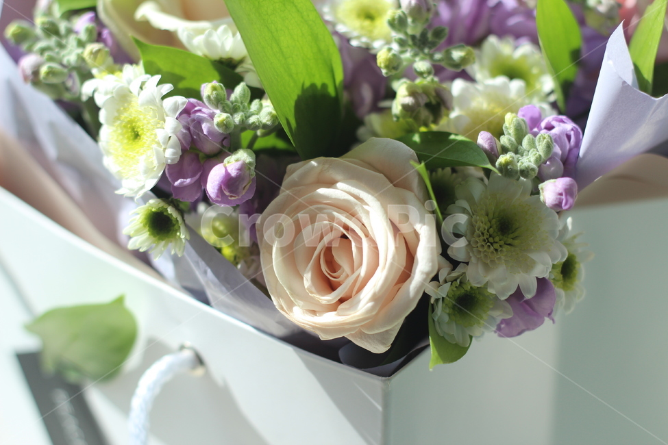 꽃,식물,꽃다발,부케,축하,결혼,장미,졸업,식물,자연,plants,nature,꽃,flower,기념일,축하,anniversary,congratulation,celebrate,celebration