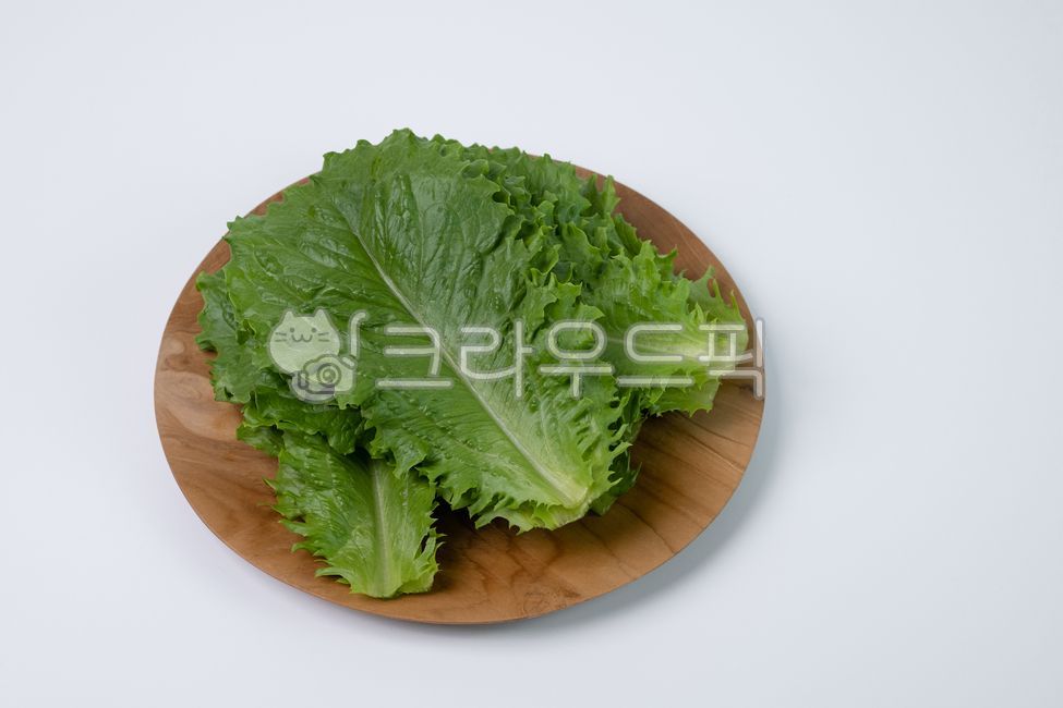 상추,로메인상추,쌈,쌈채소,식재료,신선식품,식품,채소,야채,음식,식재료,요리,food,cook,meal,dishes,food reserves,채소,야채,vegetables