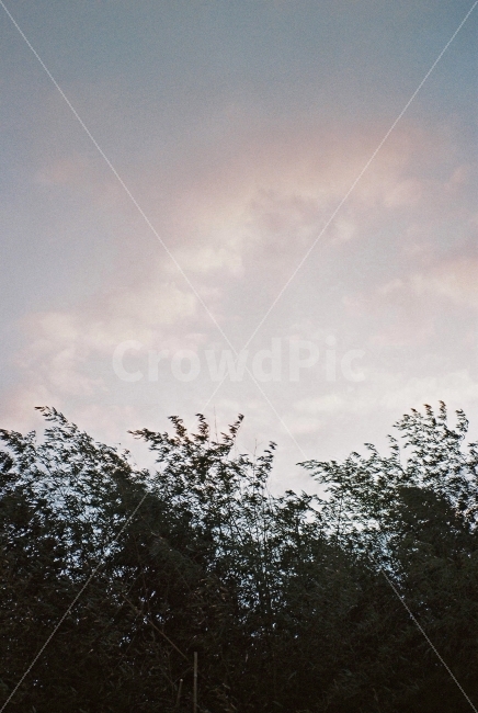 하늘,구름,나무,바람,무지개,풍경,감성,필카,필름카메라,자연,풍경,nature,landscape