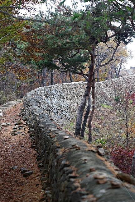 전등사,성,성곽,산성,둘레길,길,숲,숲길,담,돌담,가을,자연,풍경,벽,방어벽,낙엽,단풍,식물,자연,plants,nature,나무,trees,wood