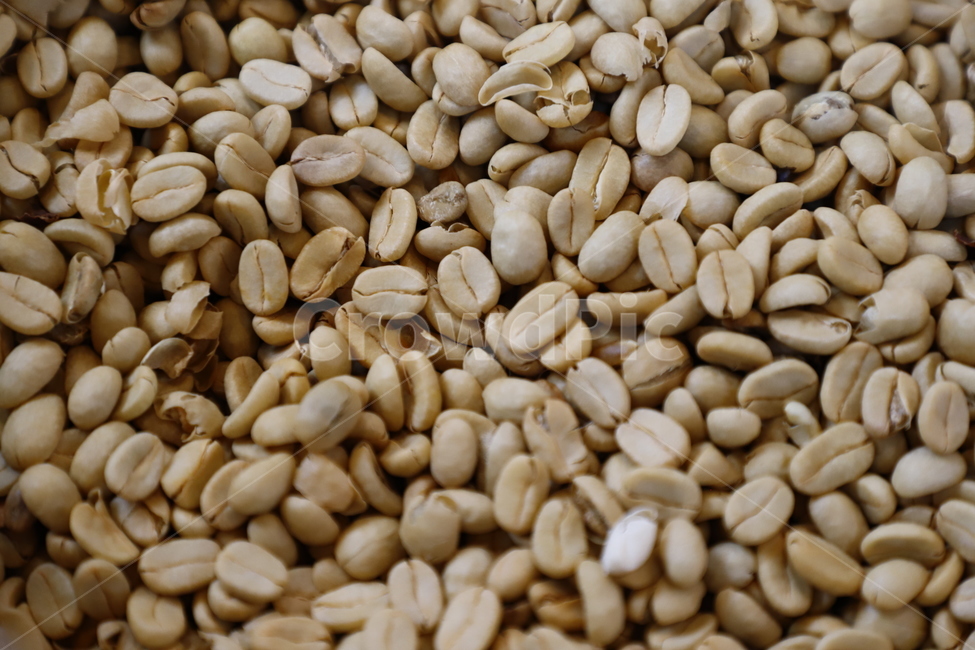 커피,원두,불랙,식품,커피콩,커피,카페,coffee,cafe