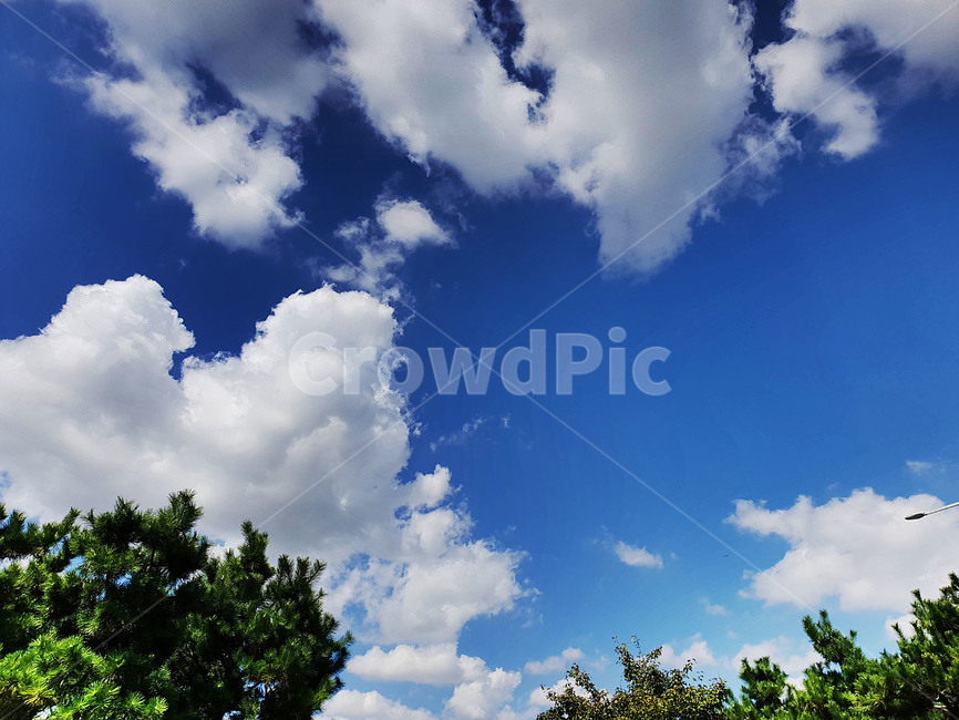 하늘,구름,가을,나무,풍경,푸르른,sky,tree,cloud,맑은하늘