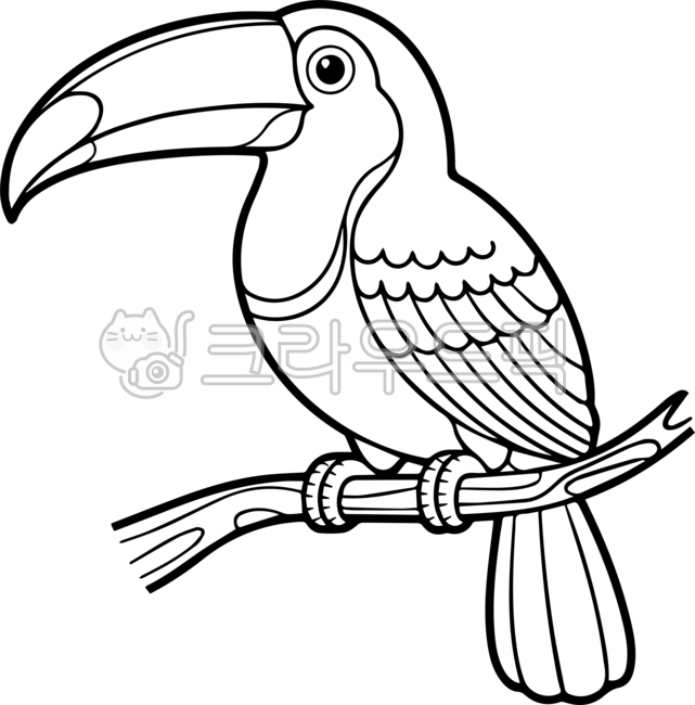 큰부리,새,조류,bird,toucan,왕부리,왕부리새,큰부리새,일러스트,흑백,투칸,열대우림,왕부리새과,동물,animal,포유류,mammal,토코투칸,toco,tocotoucan