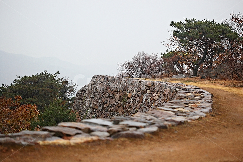 전등사,성,성곽,단풍,낙엽,산성,길,둘레길,숲,숲길,담,돌담,가을,자연,풍경,벽,방어벽,돌,나무,식물,가을,계절,fall,autumn,season,자연,풍경,nature,landscape