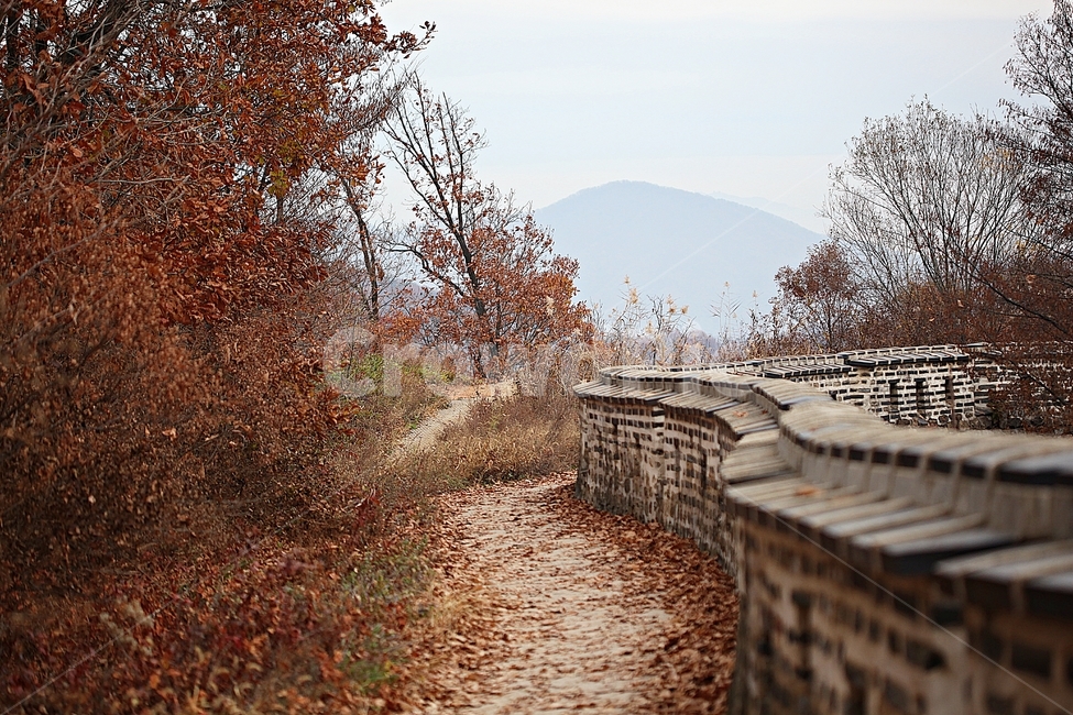 남한산성,성,성곽,단풍,낙엽,길,둘레길,담,돌담,가을,자연,풍경,벽,울긋불긋,산성,식물,가을,계절,fall,autumn,season