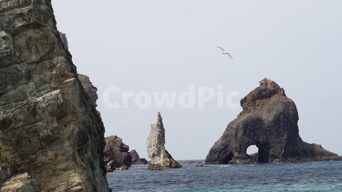 독도,울릉도,water,물,sea,바다,outdoors,옥외,ocean,대양,nature,자연,shoreline,해안선,cliff,낭떠러지,promontory,곶,cave,동굴,coast,연안,cove,후미,animal,동물,bird,새,감성,한국자연풍경,한국자연경관,korea nature landscape