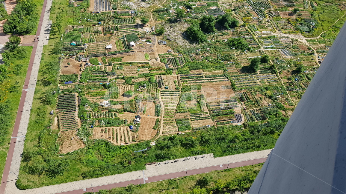농사,밭,텃밭,농장,주말농장,시골,농촌,풍경,시골,마을,풍경,landscape,country,rural,town,산업,industry,industrial,농업,농사,agriculture,farming,farming industry