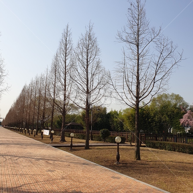 path,통로,sidewalk,보도,walkway