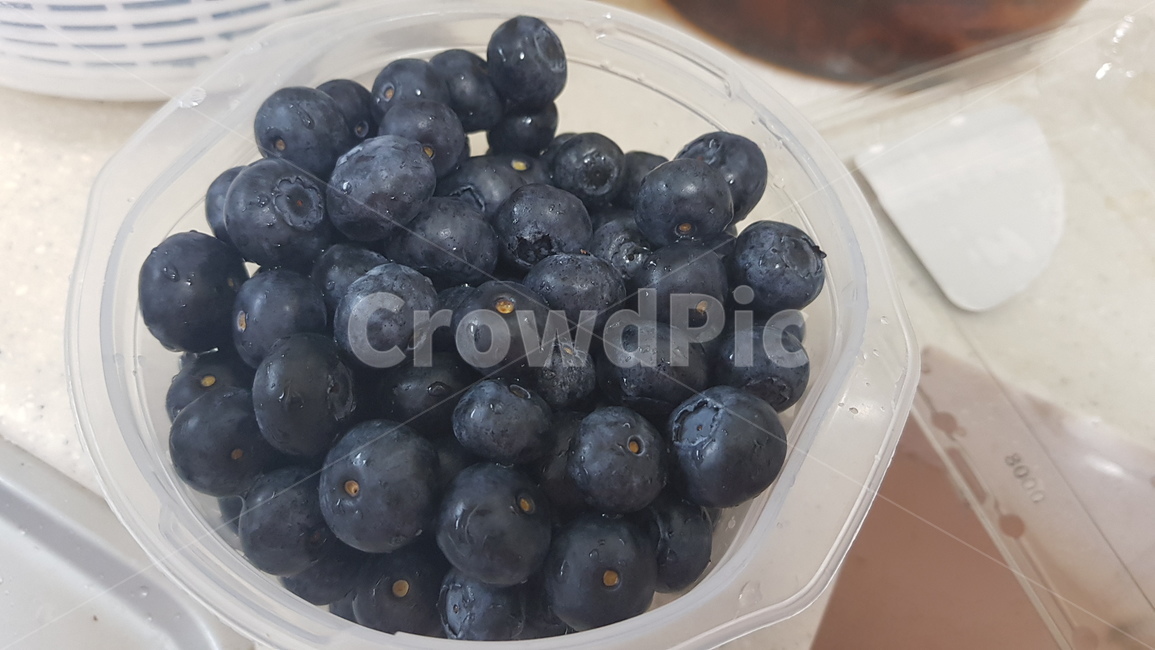 블루베리,blueberry,과일,fruit,슈퍼푸드,음식
