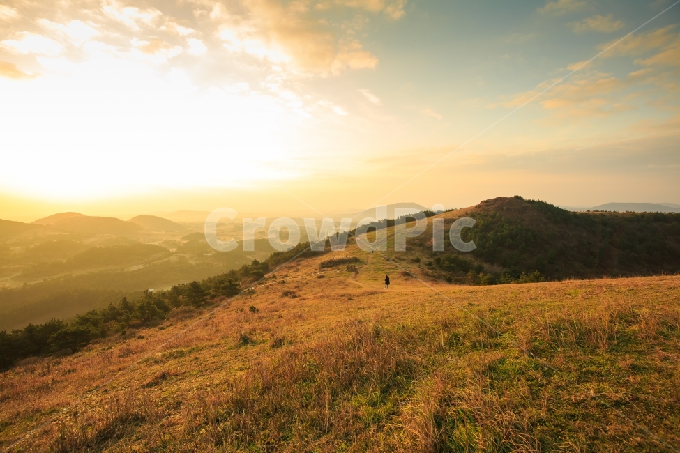 Brightness,sunshine,cannon,cow,milk cow,canon,spring,cloud,Reed,Udo Island,Jeju travel,golden,sight,Work,Jeju sunrise,sky,Seongsan Sunrise Peak,warmth,Jeju reeds,Jeju sky,Baekyak Oreum,nice photo,ocean,autumn,pylon,Saebyeol,landscape photography,sunrise,J