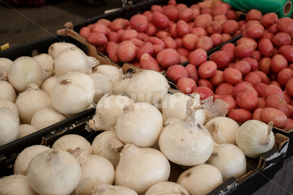 시장,양파,야채,채소,반찬,농작물,농산물,vegetable,market,harvest,onion,eco,친환경,채소,야채,vegetables
