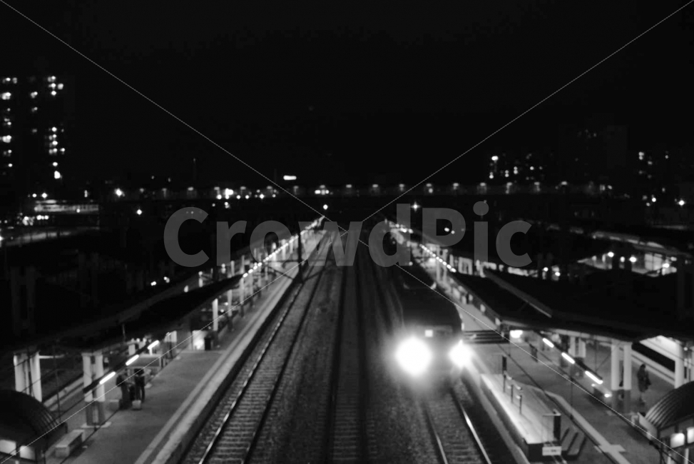 기차,흑백,조치원역,무궁화,monochrome,흑백,모노톤,monochrome,black and white,교통,교통수단,traffic,transportation,vehicle,차량,train,train station,기차역