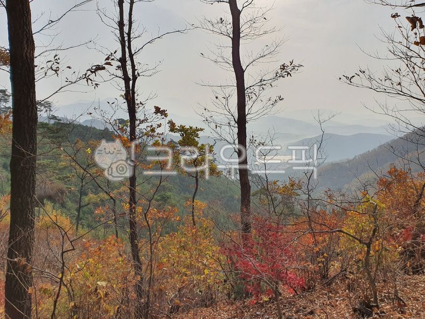 산, 자연, 등산, 언덕, 가을, 사진,이미지,일러스트,캘리그라피 - ohjingoh작가
