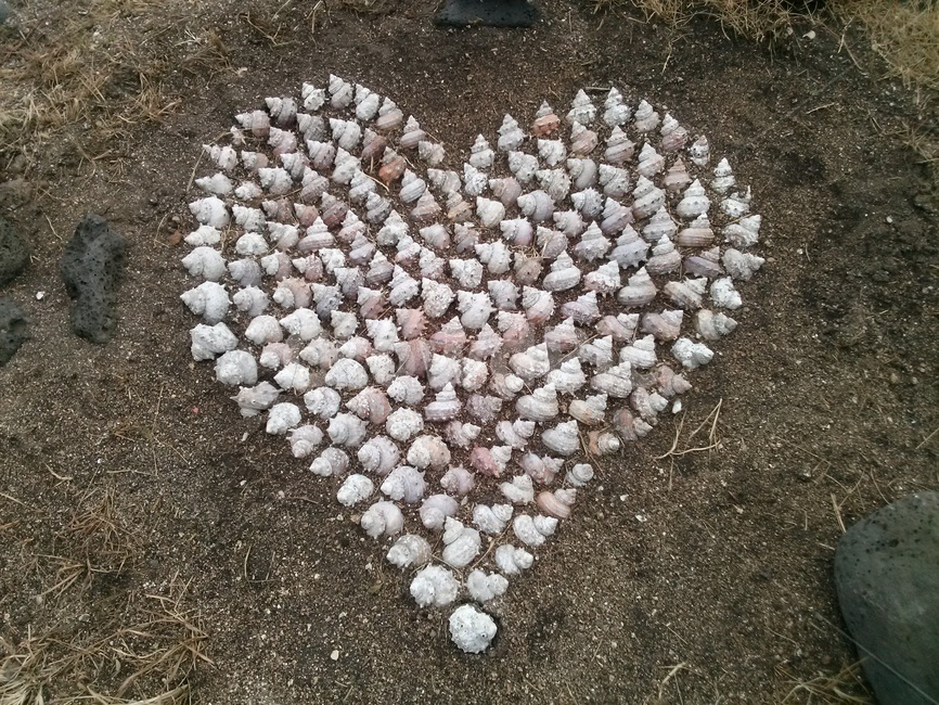 소라하트,소라껍질,하트,흙길,ground,바닥,road,heart