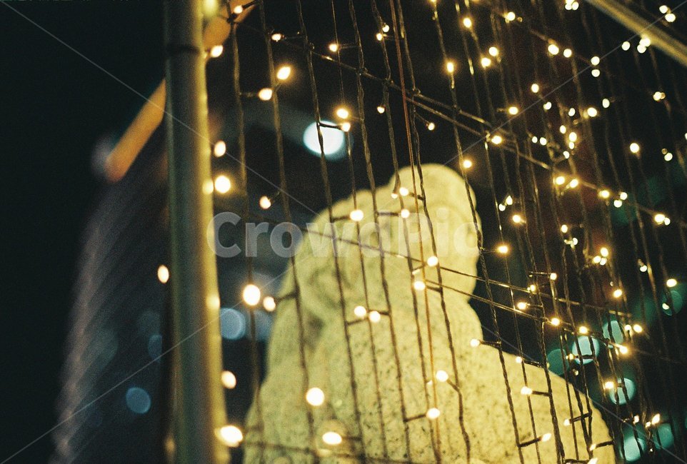 christmas,light,조명,전구,크리스마스,줄전구,겨울,winter,반짝반짝,shining,bulb,twinkle,야경,밤,풍경,nightscape,night,landscape,감성,sensible,feeling,lighting
