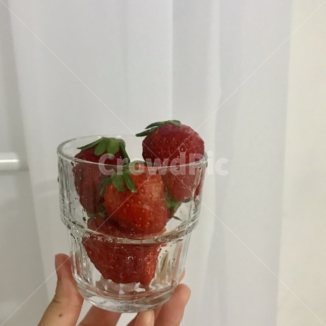 딸기,food,음식,fruit,과일,strawberry
