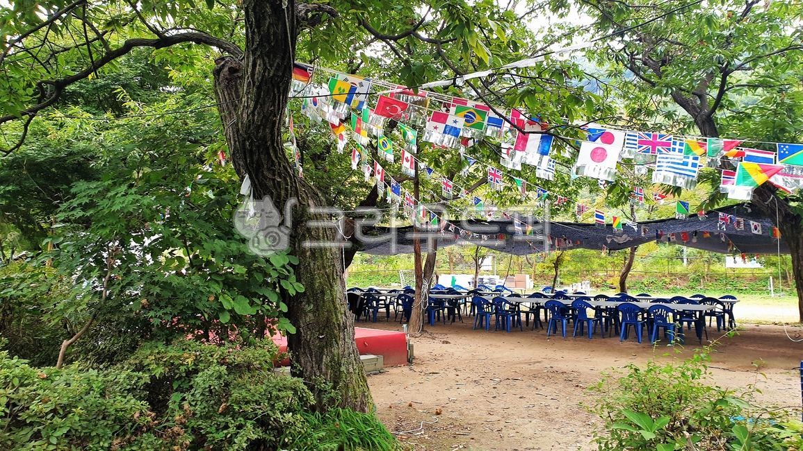 fall sports day,Sports day,outdoors,bunting,tree,autumn,chestnut