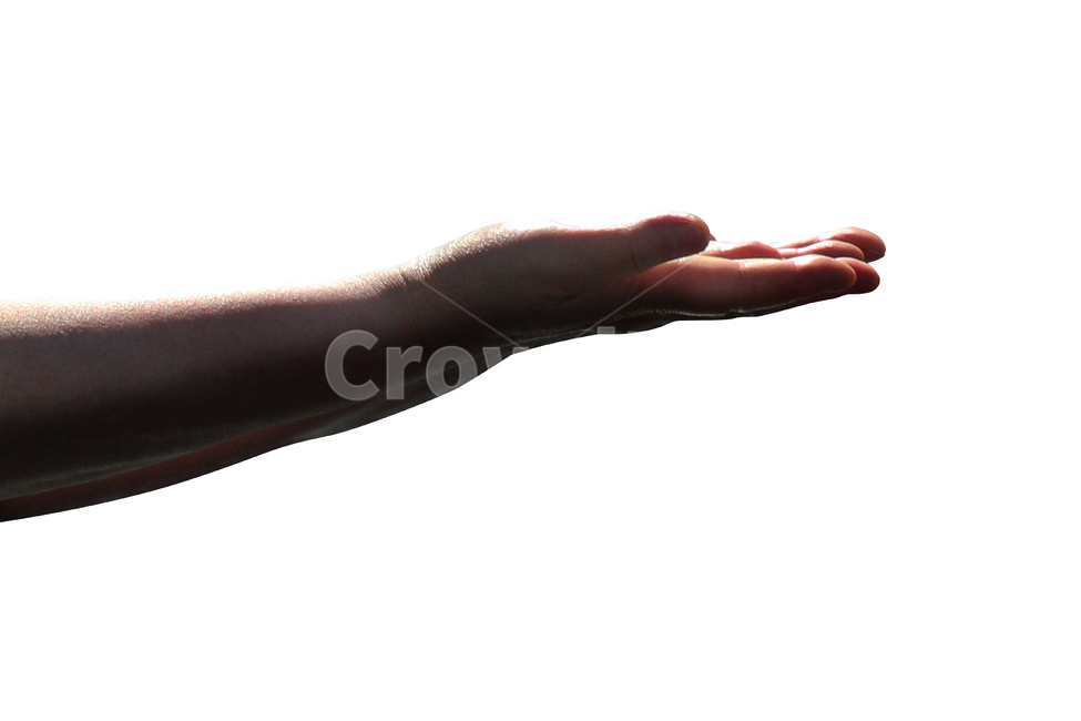 hand,손,wrist,손목,엄마손,팔,손동작,누끼,손짓,표현,엄마,신체일부,몸,body