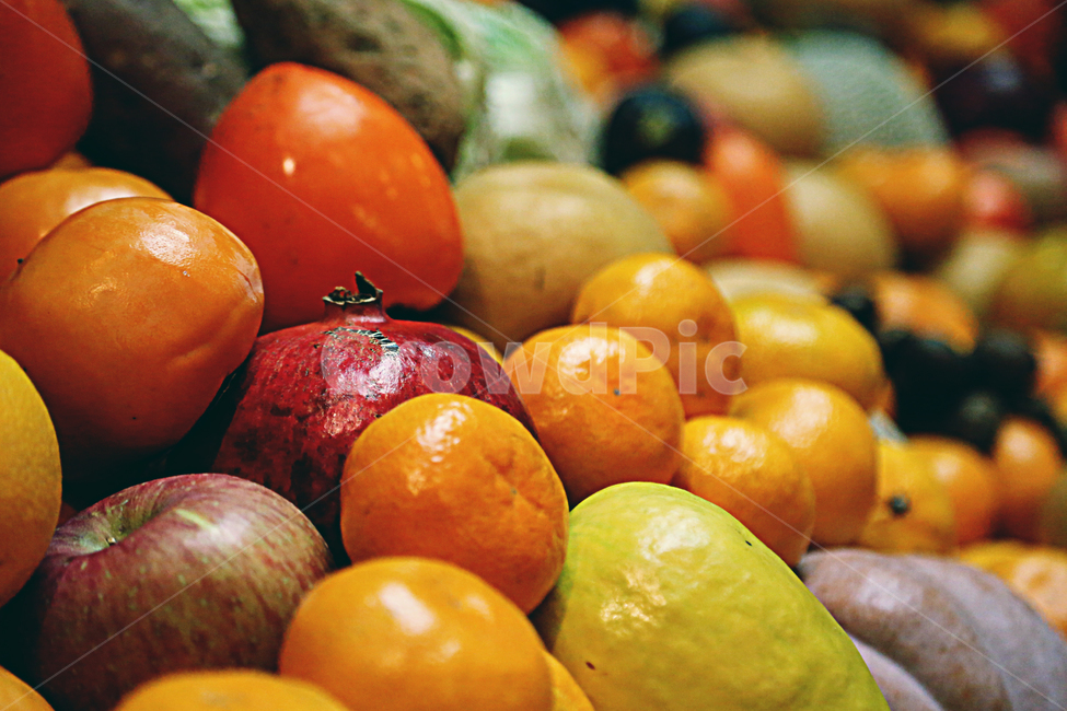 추수감사절,과일,fruit,감귤류과일,가을,음식,식재료,요리,food,cook,meal,dishes,food reserves,과일,열매,fruit