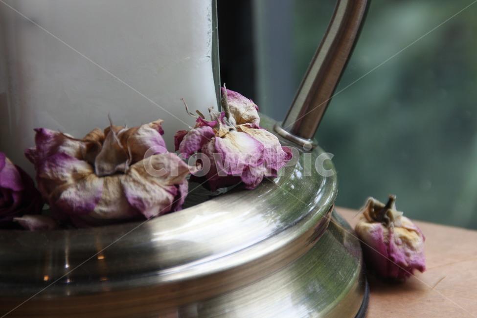 플로라,꽃,장미,향기,카페,전주,flora,flower,rose,fragrance,aroma,cafe,jeonju,꽃,flower