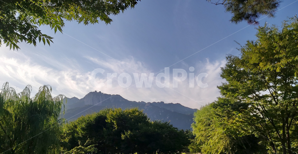 서울창포원,도봉산,산,나무,하늘,구름,자연,changpowon,dobongsan,mountain,trees,sky,clouds,nature,자연,풍경,nature,landscape,나무,trees,wood,outdoors,옥외,mountain range,산맥