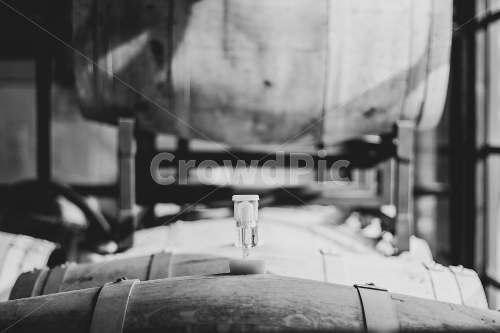 브루어리,배럴,오크배럴,양조장,맥주,와인,술,주류,alcohol,흑백,모노톤,monochrome,black and white