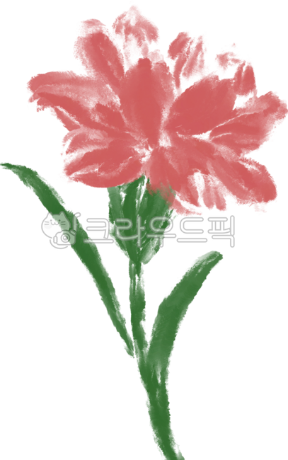 Carnation,Parents' Day,Teachers' Day,Gift,Flower,Gratitude,Family Month,Thank You,Thank You,Bouquet