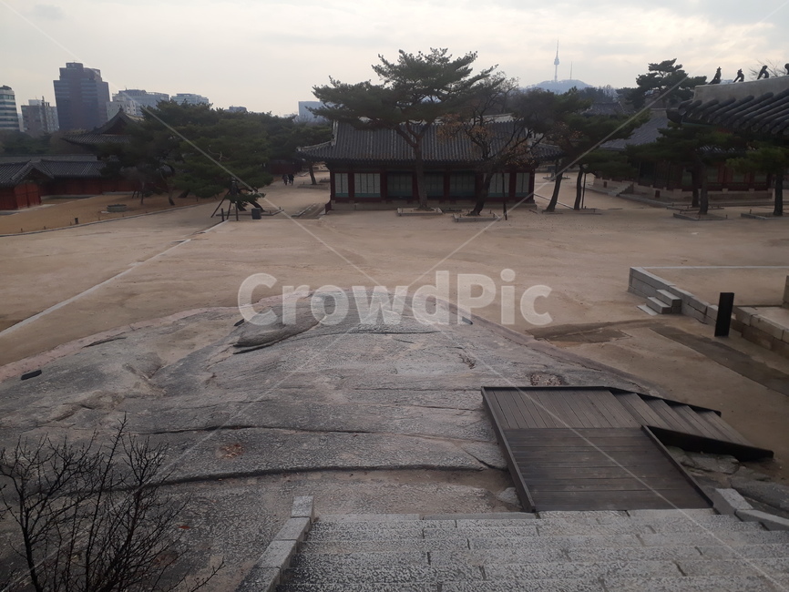 창경궁,창경원,역사공원,역사,전통,문화