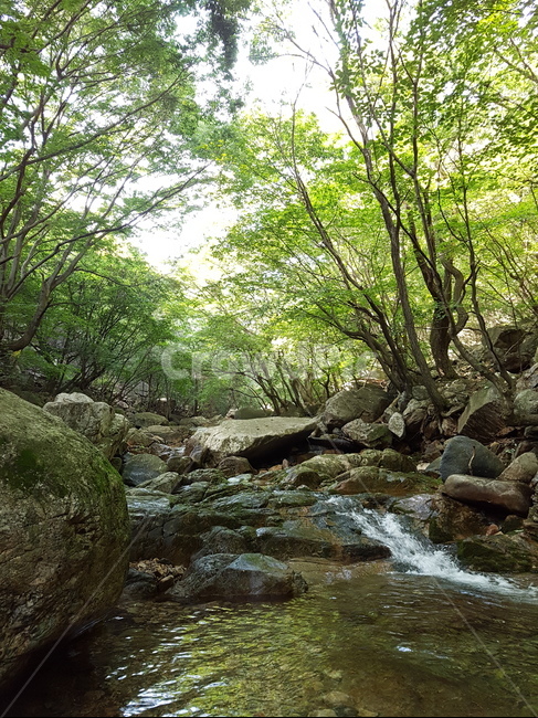 water,물,nature,자연,outdoors,stream,자연,풍경,nature,landscape