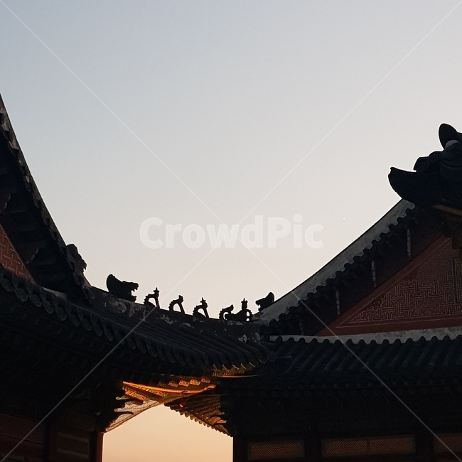 한국,경복궁,gyeongbokgung,야간개장,palace,한국전통,한국문화,korean traditional,korean culture,건축물,건물외관,exterior,building,structure,architecture,construction