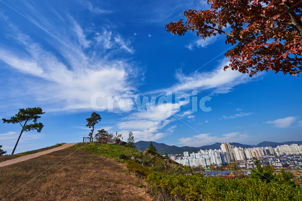 순천만국가정원,풍경,순천만정원,순천,언덕,자연,풍경,nature,landscape,outdoors,옥외
