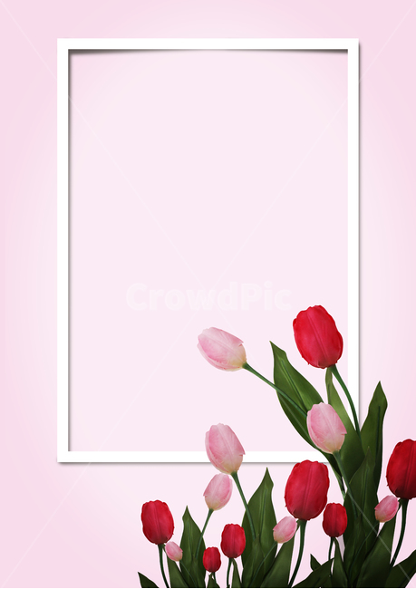 shadow,Water bottle,display,concept,still life,vase,simple,Square,inside,two,summer,flower,interior,Modern,spring,face,petal,popularity,plant,season,rose,wall