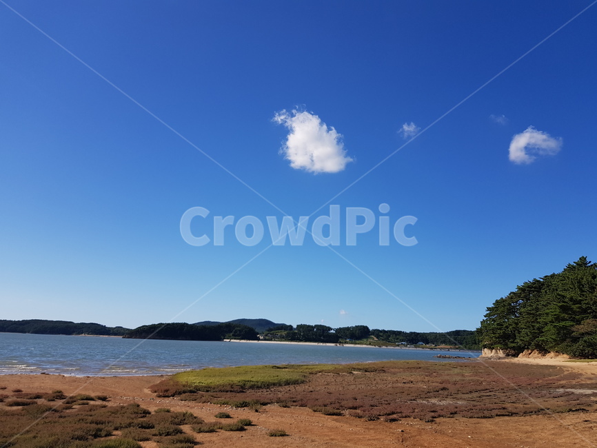 바다,해안,해초,하늘,서산,자연,풍경,nature,landscape,outdoors,옥외,land,땅,water,물