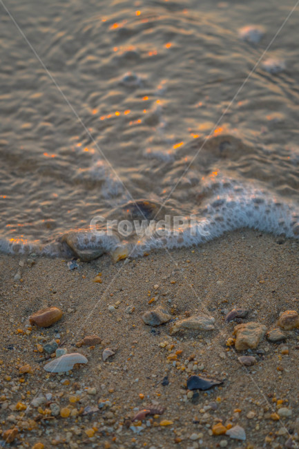 자연,바다,조개,조화,풍경,해변,바다,beach,sea
