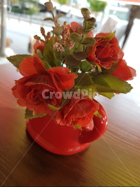 식물,꽃,꽃꽂이,빛,장미,식물,자연,plants,nature,꽃,flower